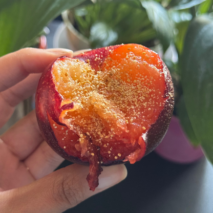 Hand holding a sliced peach with a blurred green plant background