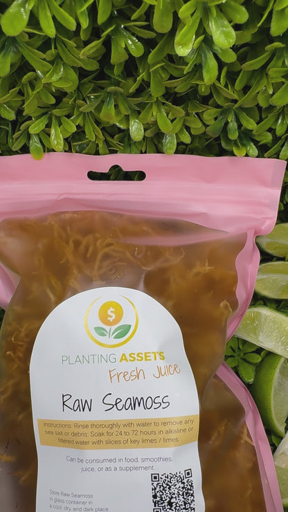 Raw Seamoss